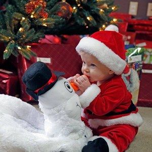 Meet your Posher, Ginger